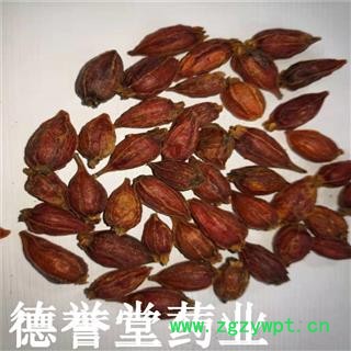 栀子 选 福建栀子 大栀子 德誉堂批发各种中药材图3