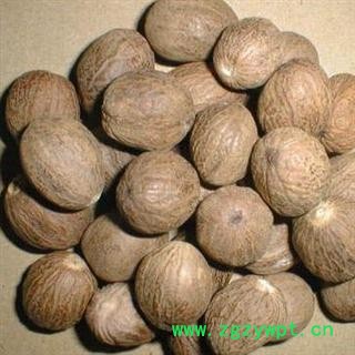 肉豆蔻 选 肉豆蔻 批发各种中药材 香料 花茶 矿石 产地 广东省佛山市南海区图3