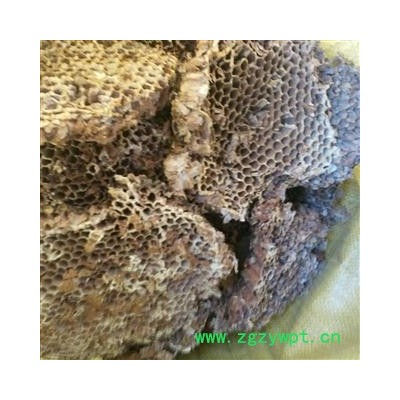 蜂房 硬蜂房统货 产地 山东省