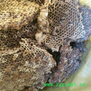 蜂房 硬蜂房统货 产地 山东省图2