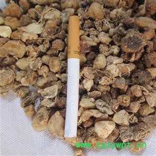 山慈菇 冰球子   产地 云南省图3