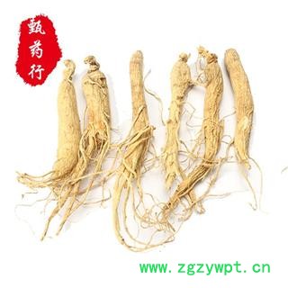 人参60支精选货特价 参龄5年以上 生晒参原皮参无硫选货 一手货源批发 产地吉林 甄选药材行 为你真选好药材图2