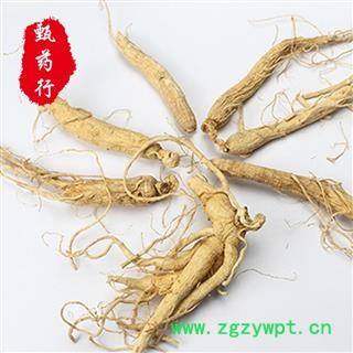 人参60支精选货特价 参龄5年以上 生晒参原皮参无硫选货 一手货源批发 产地吉林 甄选药材行 为你真选好药材图3