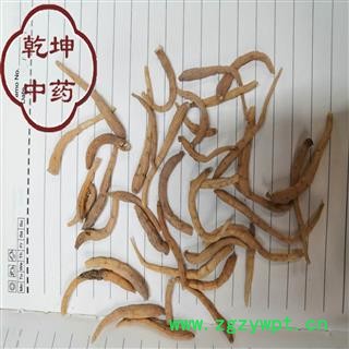 太子参 无硫选货 200支 产地 贵州省【品种齐全 诚信经营】图3