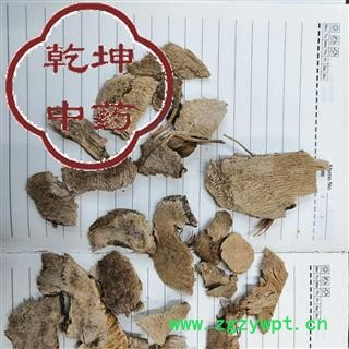 芦竹根 统 产地 四川省【品种齐全 诚信经营】图2