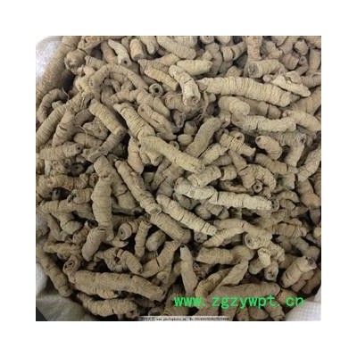 巴戟肉 巴戟肉三级个0.4 产地 广东省 产地直销 重在质量