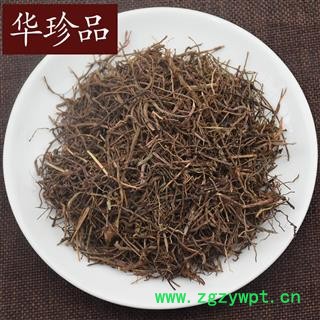 茜草 03 茜草 大统 产地 山西省图3