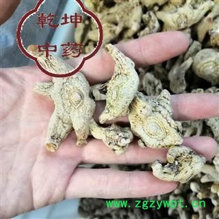白及 无硫中大个 产地 贵州省【品种齐全 诚信经营】图3