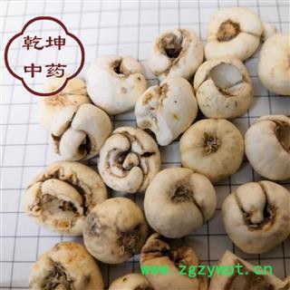 平贝母 正品 中选货 产地 吉林省 批发各种中药材 【诚信经营 品种齐全】图2