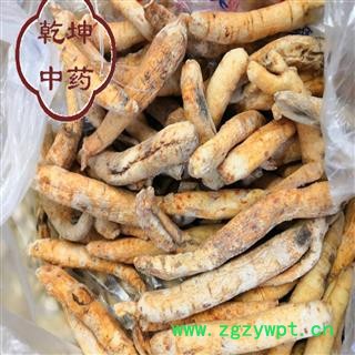 川明参 无硫大条，正品 产地 四川省【诚信经营 品种齐全】图2