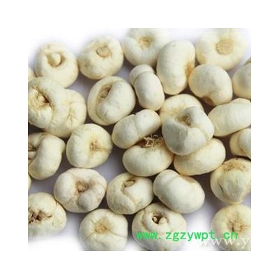 贝母 平贝母 选1.0-1.2 产地 吉林省 产地直销 重在质量