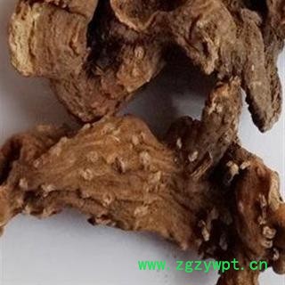 八角连 01 八角莲 产地 湖南省衡阳市市辖区图2