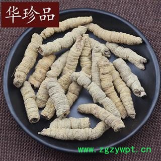 巴戟天 02 巴戟肉 中小肉 产地 广东省肇庆市端州区图2