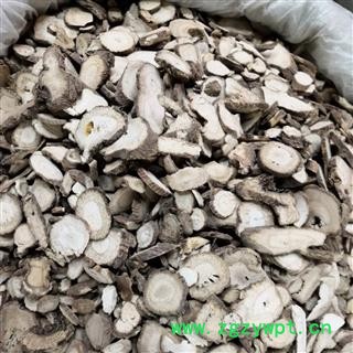 白芷 白芷 统片 川白芷 产地 四川省【品种齐全 诚信经营】图2