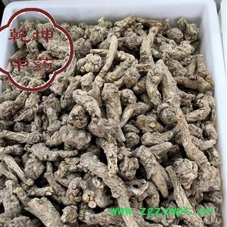 当归 当归头  无硫中小头 产地 甘肃省【品种齐全 诚信经营】图2