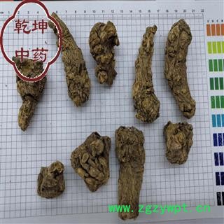 当归 当归头  无硫中小头 产地 甘肃省【品种齐全 诚信经营】图3
