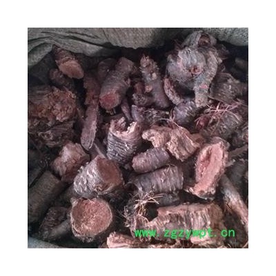 红景天 统 产地 新疆维吾尔自治区 产地采购大货 直接分装