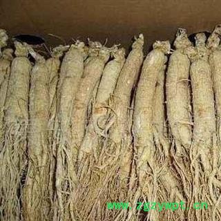 人参 无硫生晒参 生晒参35支 产地 吉林省图3