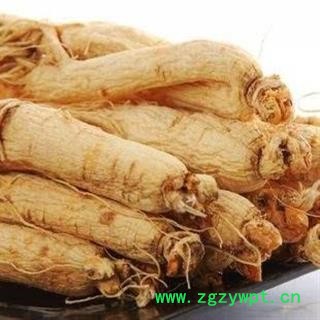 人参 无硫生晒参 生晒参35支 产地 吉林省图2