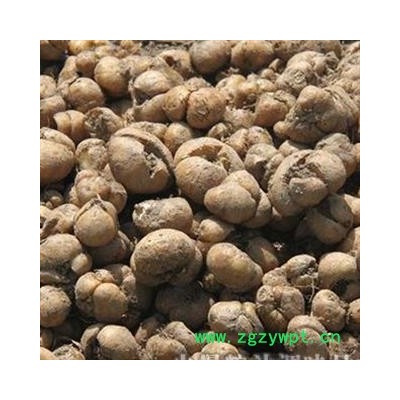 浙贝母 无硫浙贝母 选个 产地 浙江省 产地直销 重在质量