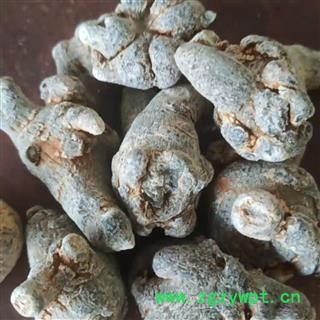 三七 三七30头 产地 云南省 产地直销 质量保证图2