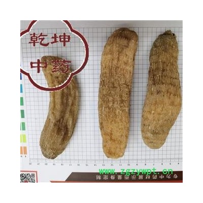 天麻 无硫22支 一级 产地 云南省昭通市【品种齐全 诚信经营】