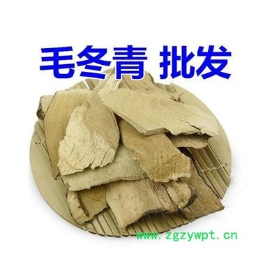 毛冬青 统 产地 云南省 产地直销 重在质量