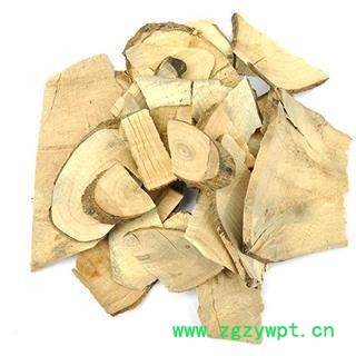 毛冬青 统 产地 云南省 产地直销 重在质量图2