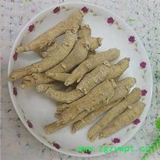 西洋参 西洋参长支10-20g 产地 吉林省 产地直销 重在质量图2