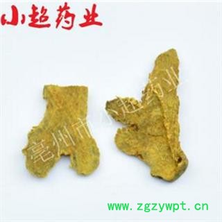 姜黄 04 川姜黄个 选 产地 四川省图3