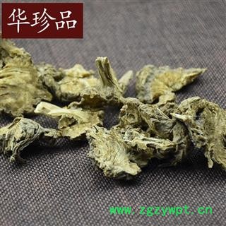 藁本 01 四川藁本 统 产地 四川省图4