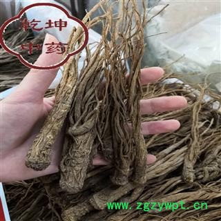 当归 无硫小条 产地 甘肃省【品种齐全 诚信经营】图2