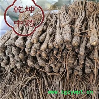 当归 无硫小条 产地 甘肃省【品种齐全 诚信经营】图3