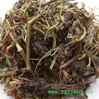 甘松 甘松水洗好统货 产地 四川省 产地直销 重在质量图3