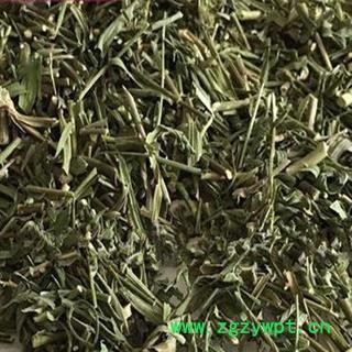 柴胡 柴胡苗 统 颜色青 产地 内蒙古自治区 产地直销 重在质量图2