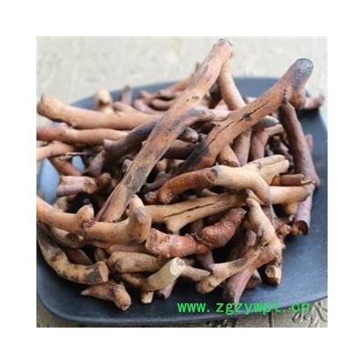 骨碎补 烫骨碎补 炒毛姜 圆柱形 统 产地 广西壮族自治区