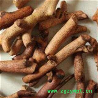 骨碎补 烫骨碎补 炒毛姜 圆柱形 统 产地 广西壮族自治区图2