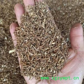 当归 当归颗粒 统 产地 甘肃省 产地直销 重在质量图3