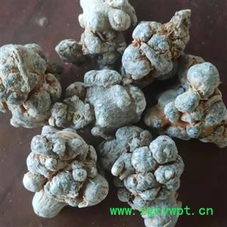 三七 三七20头 产地 云南省 产地直销 质量保证图3