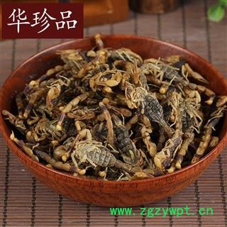 蝎子 01 全蝎 七成干 产地 山西省阳泉市城区图3