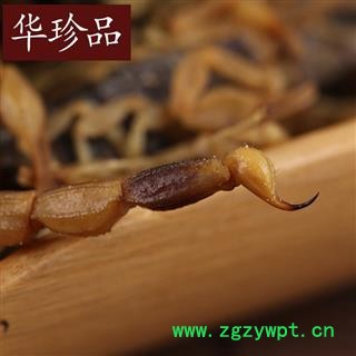 蝎子 01 全蝎 七成干 产地 山西省阳泉市城区图2