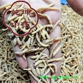 太子参 300支 无硫选货 产地 贵州省图2