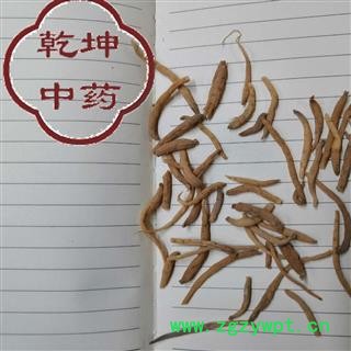 太子参 300支 无硫选货 产地 贵州省图3