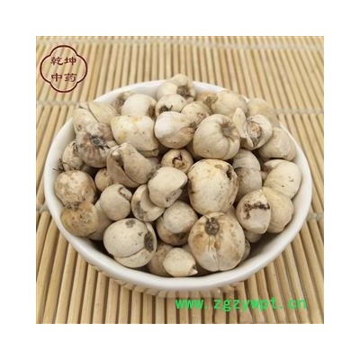 川贝母 川贝  川松贝  高含量 产地 西藏自治区