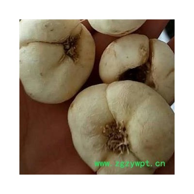 浙贝母 选大个 新货 颜色好 产地 浙江省  产地直销 重在质量