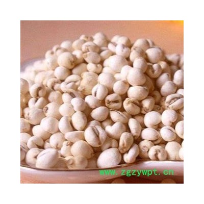 贝母 豆贝母 选货 产地 吉林省 产地直销 重在质量