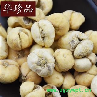 浙贝母 02 浙贝母 选 个 产地 浙江省图2