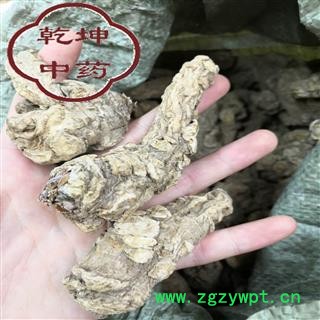 当归   当归头 无硫大头 产地 甘肃省【品种齐全 诚信经营】图3