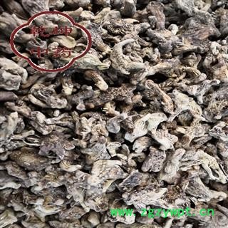 白及 无硫好统个子 产地 贵州省【品种齐全 诚信经营】图3