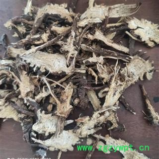 藁本 统 产地 新疆维吾尔自治区 产地直销 重在质量图2